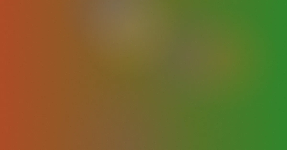 张硕是什么？四类情况讲清
